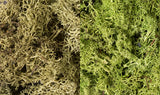 Woodland Scenics WDS L167 WDS167 Lichen - Light Green Mix  NEW