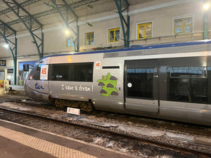 Trains in France!