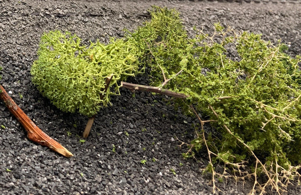 HO Scale Flatcar.  Laser-cut wood deck. Trailer-train Like New Damaged Box