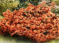 Scenic Express AF6027 AUTUMN BRIAR PATCH O SCALE limited NEW