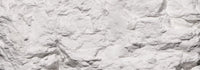 Woodland Scenics WDS C1216 WDS1216 Earth Colors Liquid Pigment White  NEW