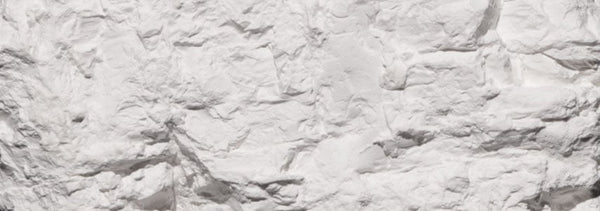 Woodland Scenics WDS C1216 WDS1216 Earth Colors Liquid Pigment White  NEW