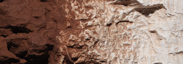 Woodland Scenics WDS C1222 WDS1222 Earth Colors Liquid Pigment Burnt Umber  NEW
