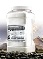 Scenic Express EX0050 'GYPSOLITE' - 1-GALLON 'GRIPPER JUG' LIMITED O SCALE NEW