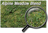Scenic Express EX884E ALPINE MEADOW BLEND- 48 OZ. ECO PAK NEW