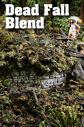 Scenic Express EX896E DEAD FALL FOREST DEBRIS 48oz. ECO PAK   NEW