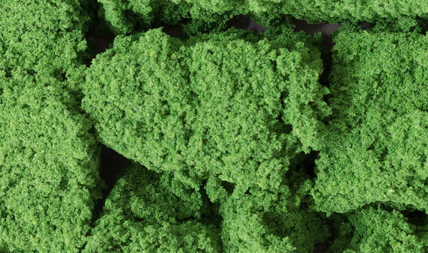 Woodland Scenics WDS FC58 WDS58 Foliage Clusters Medium Green  NEW