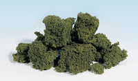 Woodland Scenics WDS FC58 WDS58 Foliage Clusters Medium Green  NEW