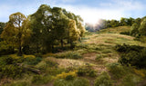 Woodland Scenics WDS FS644 WDS644 Static-Tac NEW
