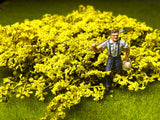 Scenic Express AF6028 YELLOW FORSYTHIA BRIAR PATCH O SCALE limited NEW