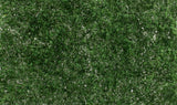 Woodland Scenics WDS G6494 WDS6494 Accents Dark Green Super Foliage O SCALE NEW