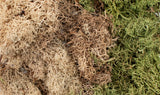 Woodland Scenics WDS G6500 WDS6500 Accents EZ Bushes Winter Mix O SCALE NEW