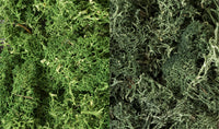 Woodland Scenics WDS L168 WDS168 Lichen - Dark Green Mix limited NEW