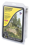 Woodland Scenics WDS956 Scenery Details Learning Kit