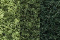 Woodland Scenics WDS TR1103 WDS1103 Deciduous Trees - 7/pkg 5-7 inch NEW
