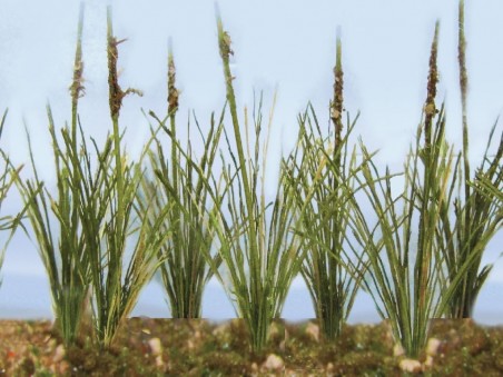 JTT 95634 DRIED CATTAILS 24 PIECES O SCALE NEW