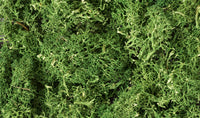 Woodland Scenics L 163 Medium Green Lichen